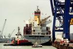 ID 717 MSC Agata